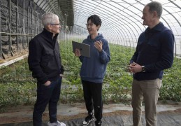 今天头条ceo(今天头条大v热搜榜前十名)