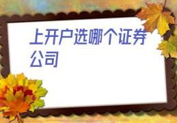 上开户选哪个证券公司(股票最低多少钱开户)