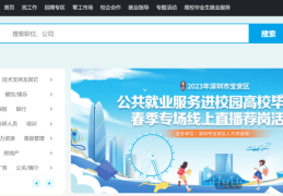 最大的招聘网站排名(最大的招聘网站排名是多少)