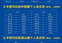 马拉松项目名称叫什么(马拉松正式成为比赛项目)