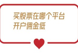 买股票在哪个平台开户佣金低(买股票在哪个平台开户好)