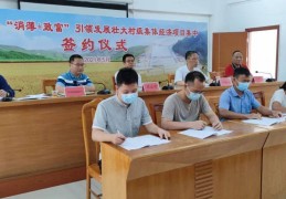 致富网小投资项目2021(致富网小投资项目2022小型加工)