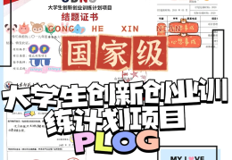 创业项目有哪些类型(创业项目有哪些类型可以选择)