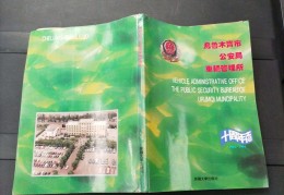 乌鲁木齐市志(乌鲁木齐市志高空调办事处黄凯)