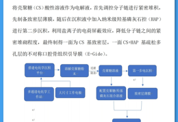 互联网+大学生创新创业项目简称(互联网+大学生创新创业项目怎么写)
