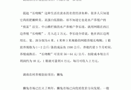 致富养殖项目农村建设方案(致富养殖项目农村建设方案设计)