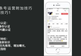 怎样运营头条号(怎么运营好头条号)