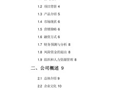 大学项目计划书目录(大学项目计划书目录怎么写)
