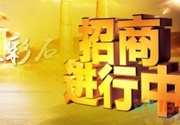 1688招商加盟网有多少项目(1688招商加盟网有多少项目可以做)