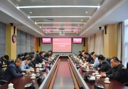野马国际陈志峰的困局(野马国际董事长陈志峰资产)