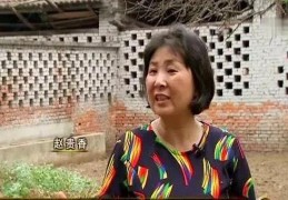 致富经2014年全集视频(致富经2016年全集视频播放)