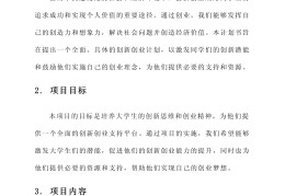 大学生互联网创业项目计划书(大学生互联网创业项目计划书ppt)