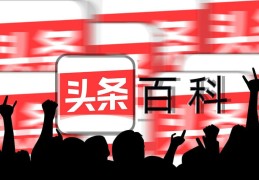 2020年头条号无法注册(2020年头条号无法注册怎么办)