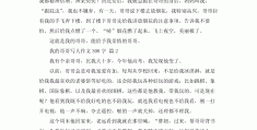 人物描写的优美段落300(人物描写的优美段落300字)