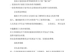 创业项目的具体文案范文(创业项目的具体文案范文大全)