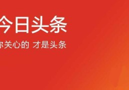头条号简介怎样写(头条号简介怎样写才吸引人)