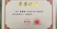 村级致富带头人典型材料(村级致富带头人典型材料有哪些)