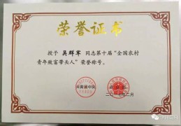 村级致富带头人典型材料(村级致富带头人典型材料有哪些)