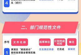 政府立项需要哪些文件资料(政府项目立项文件是什么意思)