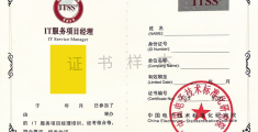 工程项目经理资格(工程项目经理资格证书2024年)