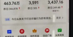 如何加入头条创作者计划(今日头条加入创作者计划是什么意思)