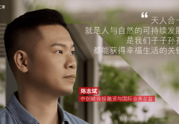 东南大学陈志斌哪里人(东南大学张志强)