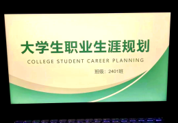 包含大学生职业生涯规划大赛ppt产品研发的词条