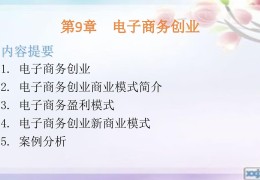 电商创业项目的途径(电商创业的实现方式都有什么)