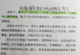 描写人物的好段加批注(摘抄人物描写的片段及批注)