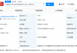 今年投资创业新项目(今年投资创业新项目怎么样)