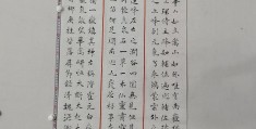 陈志刚书法家介绍作品(陈志刚书法家介绍作品图片)