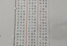陈志刚书法家介绍作品(陈志刚书法家介绍作品图片)