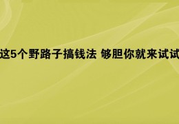 求来钱快的野路子(农村来钱快的野路子)