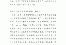 创业计划书300(创业计划书500字)