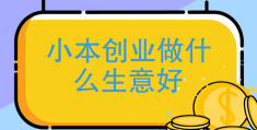 小创业新商机(创业新商机项目有哪些)