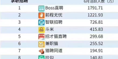 招聘网站排名最真实的有哪些平台(招聘网站排名最真实的有哪些平台呢)