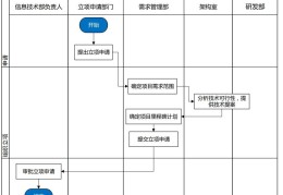 政府项目立项流程是什么意思啊(政府项目立项流程是什么意思啊怎么写)