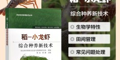 稻田养殖龙虾技术(稻田养龙虾挖田设计图)