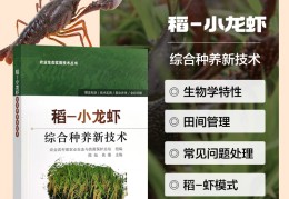 稻田养殖龙虾技术(稻田养龙虾挖田设计图)