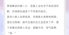 头条绯闻小说百度网盘(头条绯闻 txt 白芥子百度网盘)