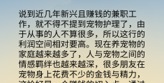 头条百科兼职好做吗安全吗(头条百科兼职好做吗安全吗可靠吗)