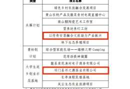 新型创业好项目(新型创业项目排行榜前十名)