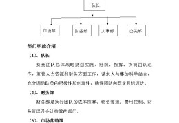 创业计划项目分工(创新创业计划项目分工)