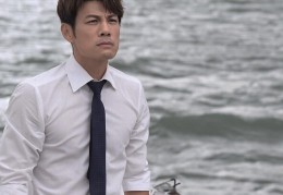 老板陈志强(老板陈志强的小说)