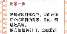 政府项目立项流程详细步骤详解(政府项目立项流程详细步骤详解图)