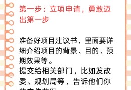 政府项目立项流程详细步骤详解(政府项目立项流程详细步骤详解图)