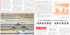 头条新闻内容太烂有什么可以推荐看新闻的吗(头条新闻内容太烂有什么可以推荐看新闻的吗知乎)