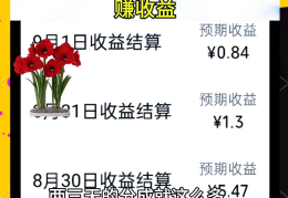头条号如何做合集(头条号合集有收益吗)