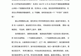 初二作文传记800字左右伟人(初二作文传记800字左右伟人怎么写)