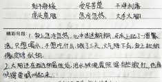 骆驼祥子段落摘抄加欣赏(骆驼祥子段落摘抄加欣赏AI)